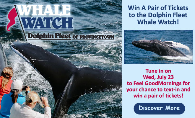 Win a pair of tickets to the Dolphin Fleet Whale Watch!