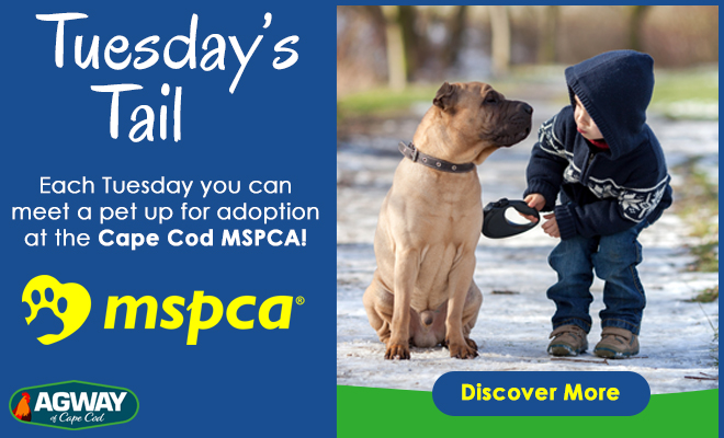 Tuesday’s Tail – Brought To You By Agway Of Cape Cod!