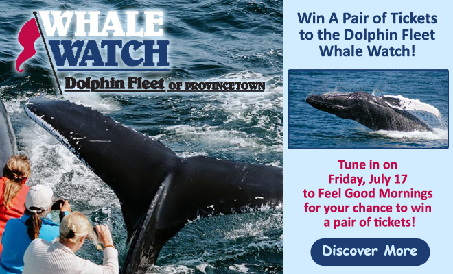 Win a pair of tickets to the Dolphin Fleet Whale Watch!