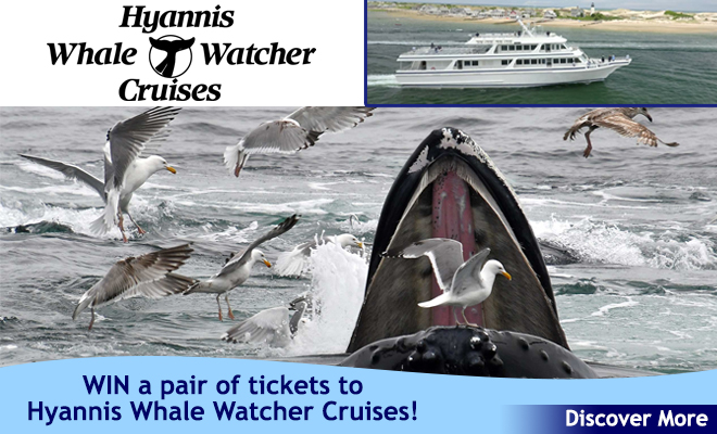 Win a Pair of tickets to the Hyannis Whale Watcher Cruises!